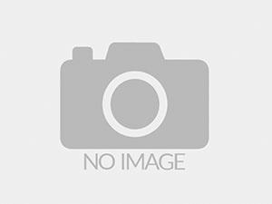 Diesel Engine KUBOTA D700
